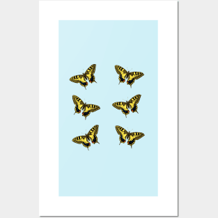 Yellow Swallowtail Butterfly 6 Pack Posters and Art